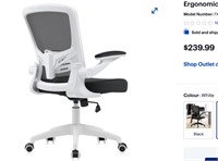 Ergonomic Desk Chair with Swivel Lumbar Support