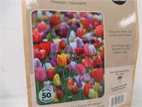 50-Pk Tasc Tulipa Triumph Aassorted Bulbs