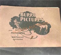 Vintage burrro picture photographs by W.A Tracht