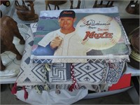 Tin Moxie Sign, Quilt Top, Rug.