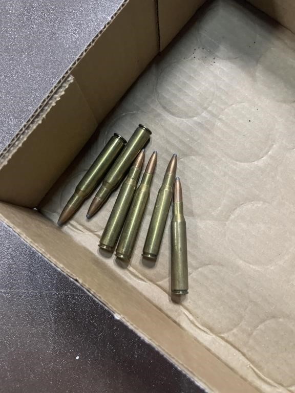270 Winchester- 6 rounds