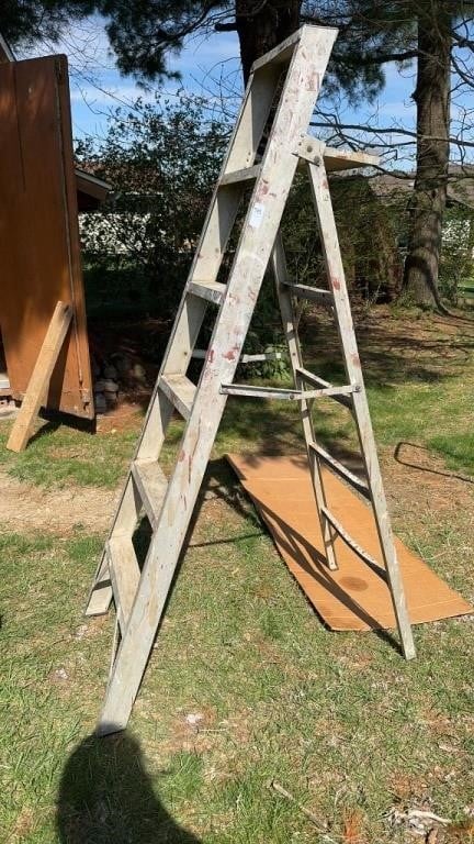 6 foot aluminum step ladder