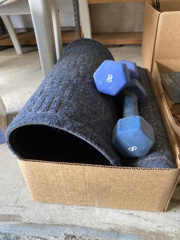 2 porch rugs, two 8 lb. pound dumbbells