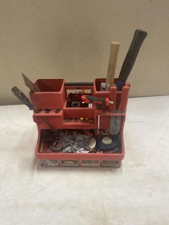 Tool caddy with tools