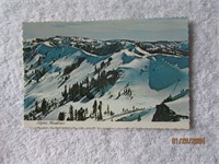 Postcard Scalloped Edge Alpine Meadows West Tahoe