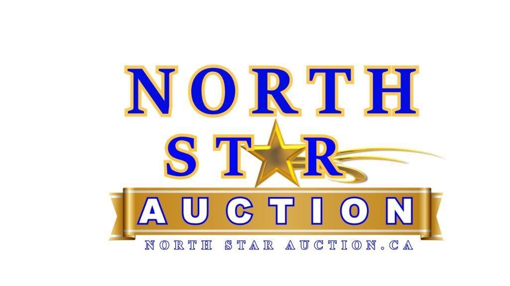 North Star New, Online Returns and Overstock Auction