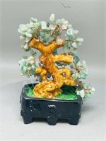 ornamental jade tree