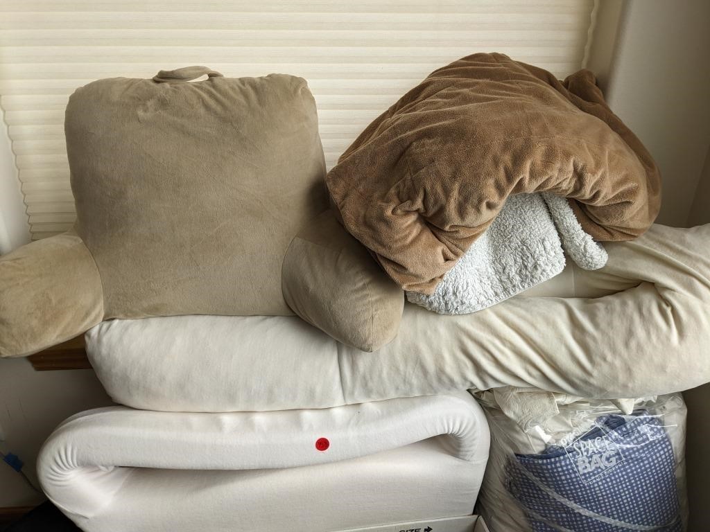 Pillow Lot  (Living Room)