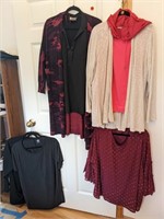 Women's Red & Black Clothes Lot  (Front Closet)