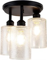 3-Light DLLT Industrial Ceiling Lamp