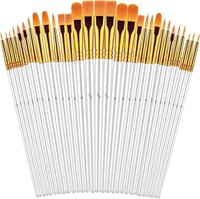 Paint Brushes Set, 30 Pcs Paint Brushes for