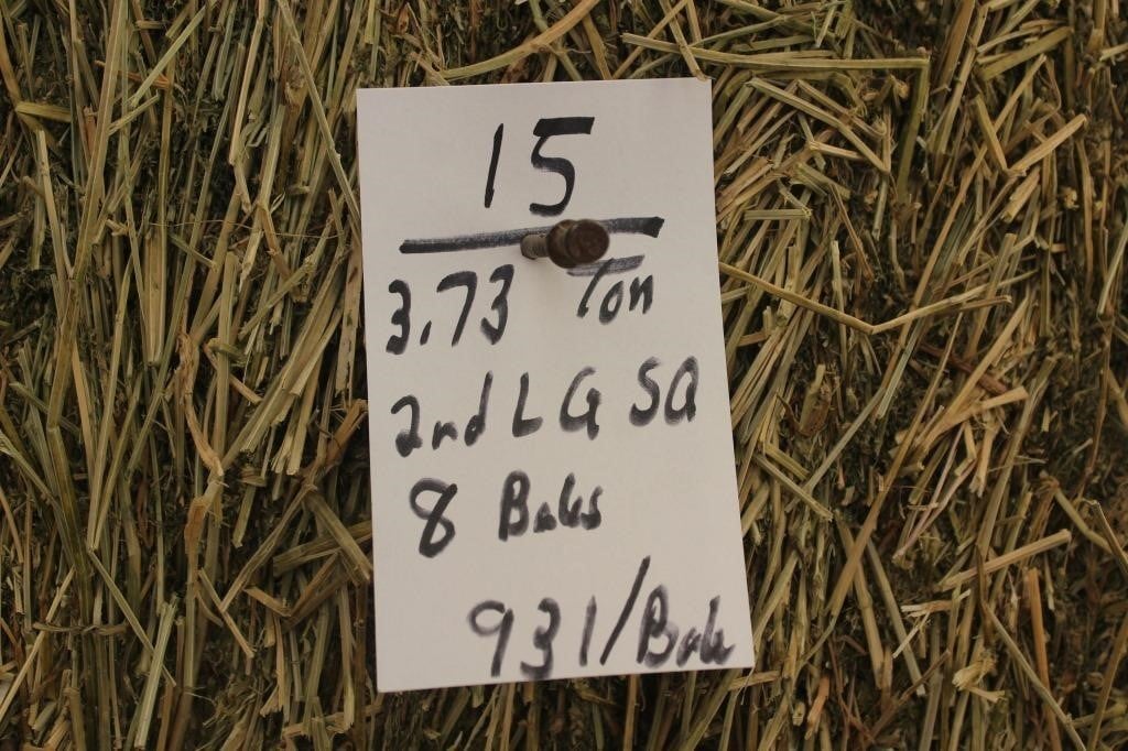 Hay, Bedding & Firewood Auction#17 (4/24/2024)