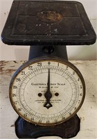 Antique Kitchen Scale Columbia Family Scale