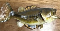 Mounted Bass , 5lbs 8 ozs Douglas Lake, TN