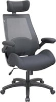 BOLISS Mesh Ergonomic Office Chair, 400 lbs Capaci
