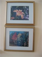 2 Framed Photo's by Local Artist Mona