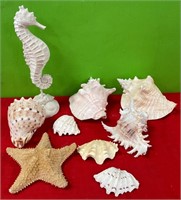 11 - SEAHORSE & SHELL COLLECTION (R37)