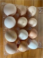 1-Dozen orpington x wyandotte eggs