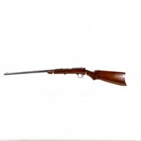Gaco Bolt 22lr 20" Rifle  (C) nsn