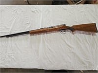 Springfield .22 Rifle