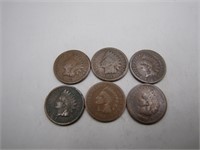 Lot of 1800's Indian Head Pennies