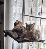 Multi Cat Window perch Bed Cat Window Perch Sunny