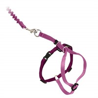 PetSafe Come with Me Kitty Harness and Bungee
