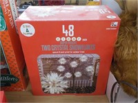 Tow crystal snowflakes