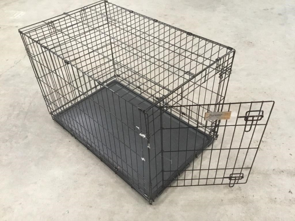 Collapsible wire dog cage