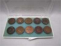 Lot of 10 Indian Head Pennies