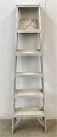 6 FT Aluminum Ladder
