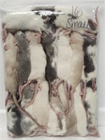 16 Pack Small Rat Frozen