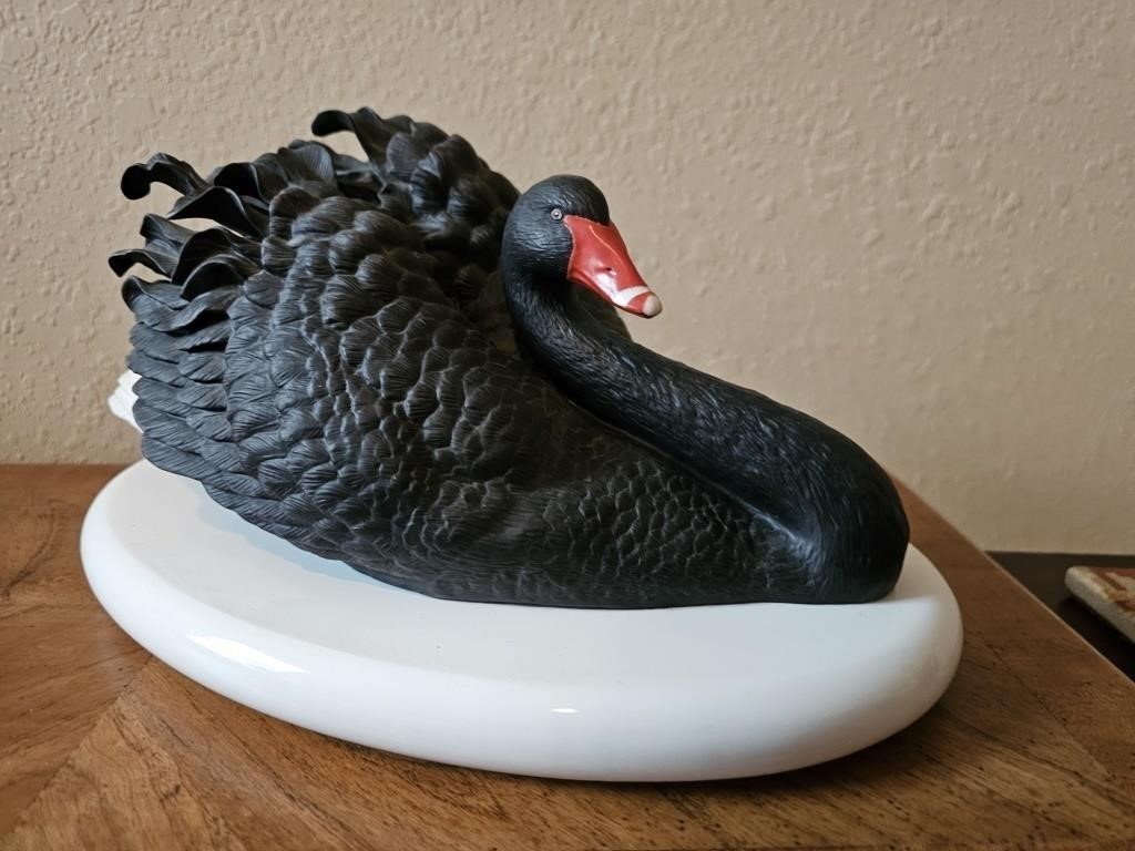 "The Black Australian Swan" Collectible