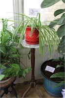 Airplane Plant & Marble Top Stand