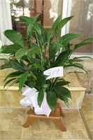 Peace Lily and Stand
