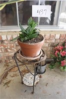 plant and stand