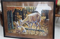 Framed Deer Puzzle