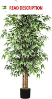 $65  GTIDEA 6ft Ficus Tree with Natural Trunk