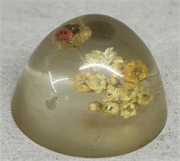 Lucite paperweight with ladybug