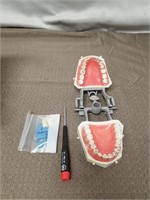 Dental Practice Teeth