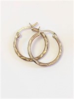 .925 Silver/GF Earrings   A2