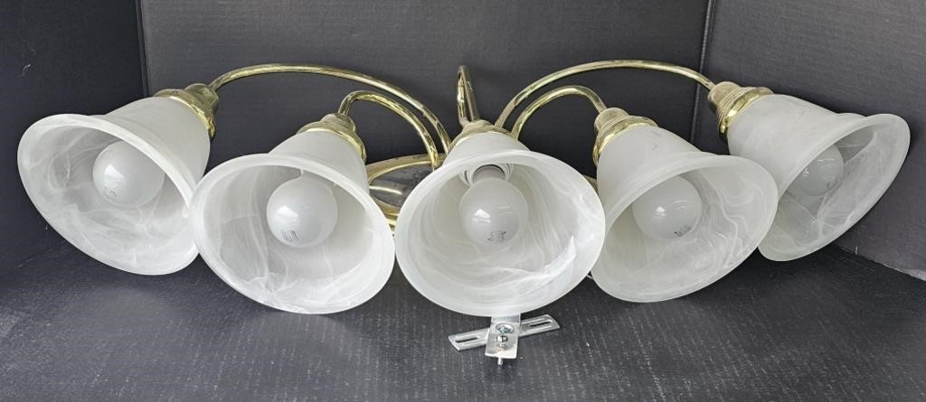 (AB) 5 Lamp Mouted Light Fixture