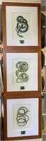 3 Framed Snake Art Prints. 18x20"