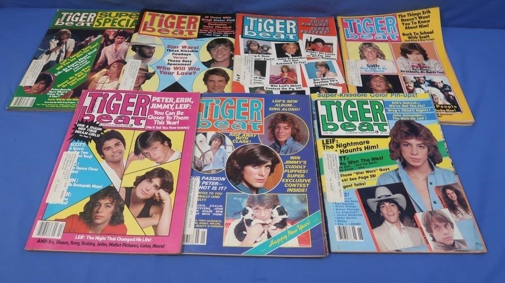 Tiger Beat Magazines-Leif Garret, Robbie Benson,