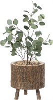 Wooden Stump Log Planter Pot with Branch Legs