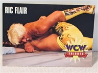 1995 WCW Ric Flair Tribute Wrestling Card