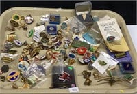 Large collection tray lot of assorted pins