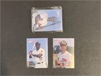1995 Multi Ad Port City Roosters Craig Griffey Jas