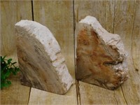 PETRIFIED WOOD BOOK ENDS ROCK STONE LAPIDARY SPECI