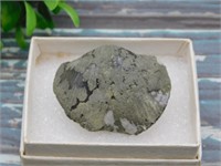 BRACHIOPOD ROCK STONE LAPIDARY SPECIMEN